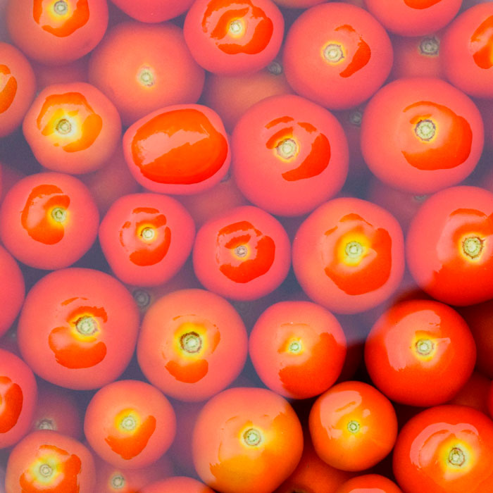 tomatoes